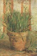 Vincent Van Gogh Flowerpot with Chives (nn04) Germany oil painting reproduction